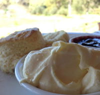 Tanglefoot Winery Cafe - Kempsey Accommodation