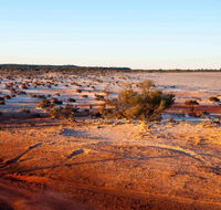 Mozie's Truckstop  Diner