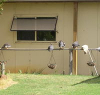 Sandy Grove - Kempsey Accommodation