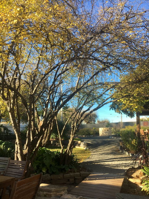 Velvet And Willow Wines - Kempsey Accommodation 5