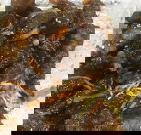 Diamond Chinese Take Away Foods