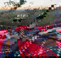 Bunnyconnellen Olive Grove  Vineyard - Kempsey Accommodation