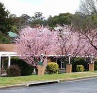 White Lanterns Motel - Kempsey Accommodation
