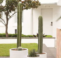 Adina Apartment Hotel Chippendale - Kempsey Accommodation