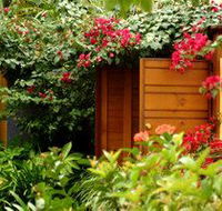 Pink Flamingo - Kempsey Accommodation