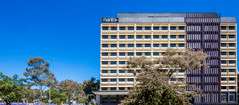 Mantra MacArthur Hotel - Kempsey Accommodation 0