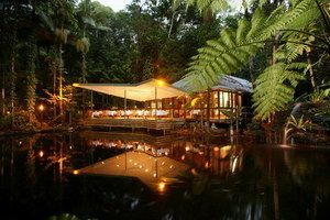 Daintree Eco Lodge & Spa - Kempsey Accommodation 2