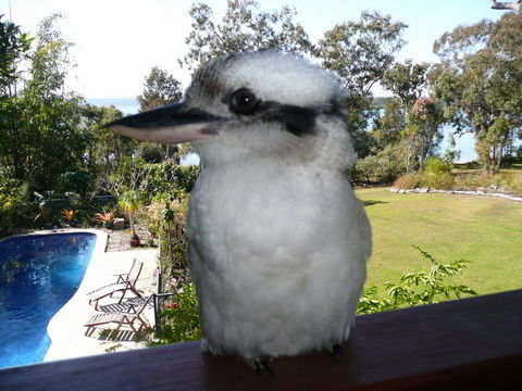 Yarrandabbi Dreaming Boutique B&B - Kempsey Accommodation 2