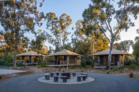 Discovery Parks Barossa Valley - Kempsey Accommodation 0