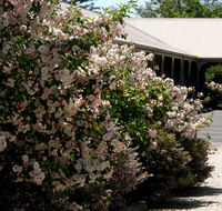 Wine Village Motor Inn - Kempsey Accommodation