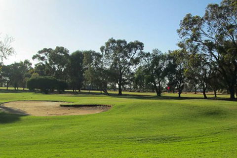 Comfort Inn & Suites Riverland - Kempsey Accommodation 9