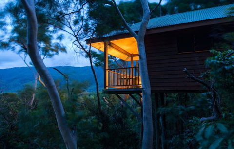Thala Beach Nature Reserve - Kempsey Accommodation 0