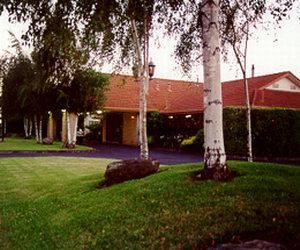 Comfort Inn Silver Birch - Kempsey Accommodation 0