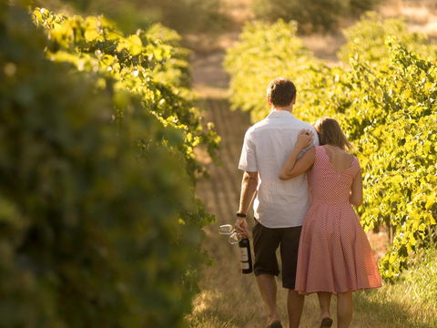 Novotel Barossa Valley Resort - Kempsey Accommodation 1