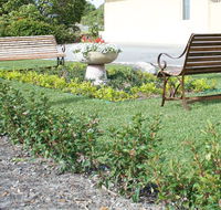 SureStay by BW The Clarence on Melville - Kempsey Accommodation