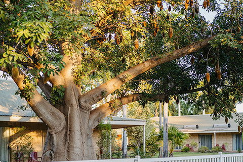 Kimberley Grande Resort & Conf Ctr - Kempsey Accommodation 0