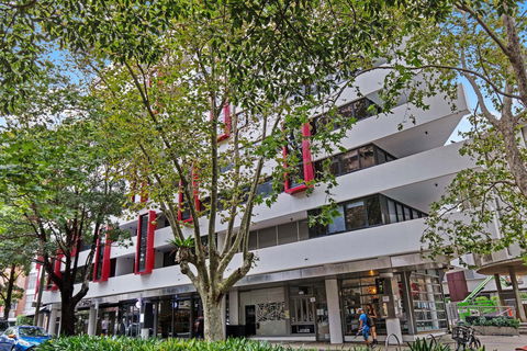 Astra Jasper - Kempsey Accommodation 1