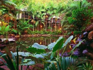 Daintree Eco Lodge & Spa - Kempsey Accommodation 0