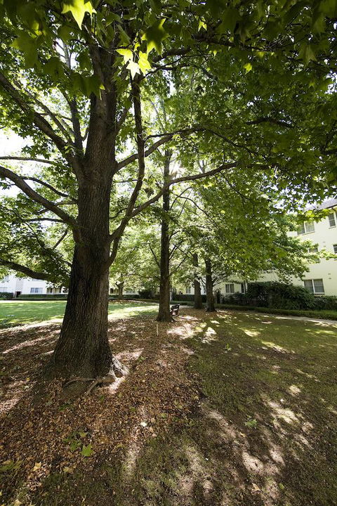 University House - ANU - Kempsey Accommodation 28