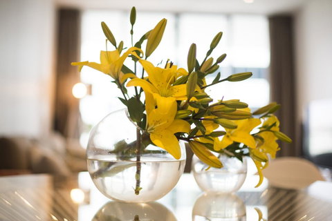 KUI - Manhattan Apartments - Kempsey Accommodation 0