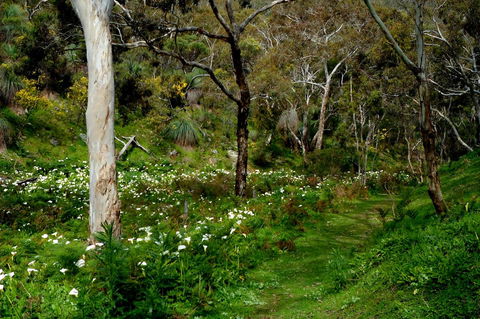 Lure Bed And Breakfast - Kempsey Accommodation 17