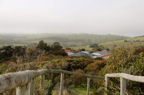 Lure Bed And Breakfast - Kempsey Accommodation 19