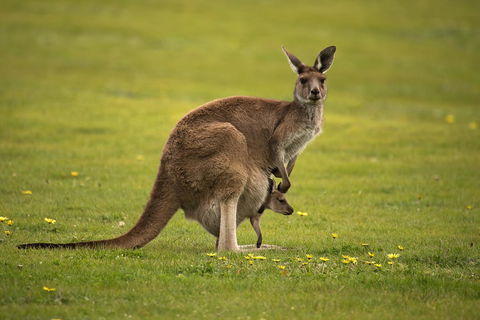 Lure Bed And Breakfast - Kempsey Accommodation 20