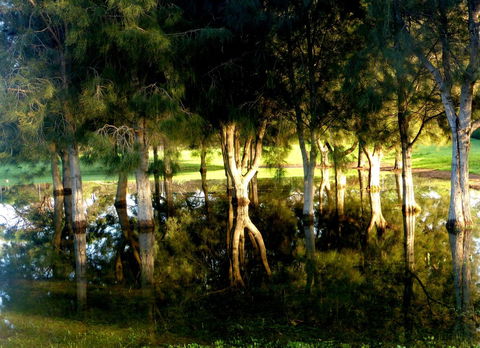 Lure Bed And Breakfast - Kempsey Accommodation 18