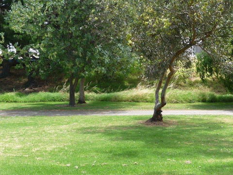 Victor Harbor Holiday Park - Kempsey Accommodation 24