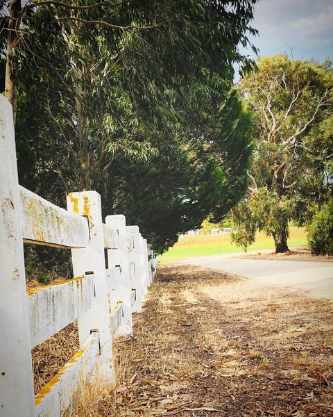 The Lake House Retreat - Kempsey Accommodation 28