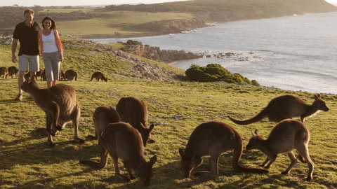 Kangaroo Island Seafront - Kempsey Accommodation 13