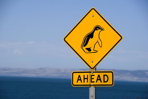 Kangaroo Island Seafront - Kempsey Accommodation 43