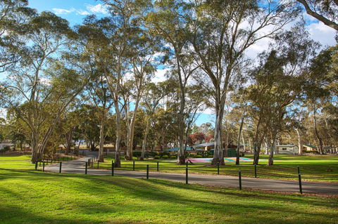 Discovery Parks - Clare - Kempsey Accommodation 19