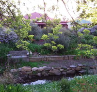 Frog Song at Willunga - Kempsey Accommodation