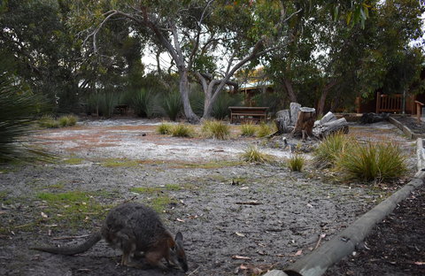 Kangaroo Island Wilderness Retreat - Kempsey Accommodation 1