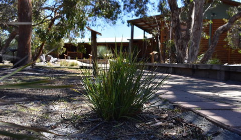 Kangaroo Island Wilderness Retreat - Kempsey Accommodation 21