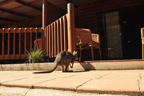 Kangaroo Island Wilderness Retreat - Kempsey Accommodation 9