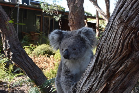Kangaroo Island Wilderness Retreat - Kempsey Accommodation 6