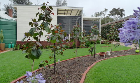 Grassmere House Magill - Kempsey Accommodation 19