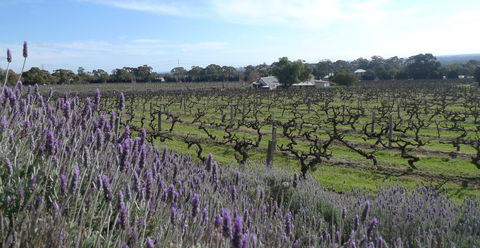 Grassmere House Magill - Kempsey Accommodation 25