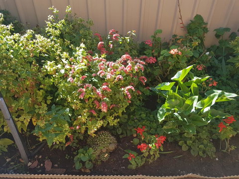 Tanunda\'s Magpie House - Kempsey Accommodation 24