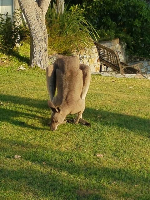 \'Point Break\' Your Waterfront Break At The Point - Kempsey Accommodation 12