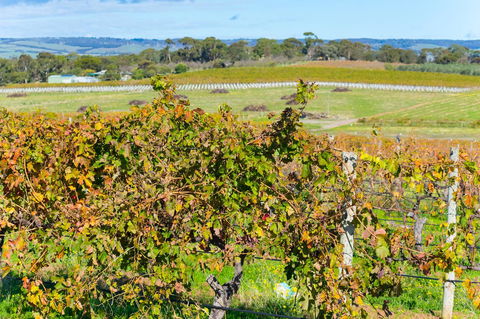 Sun & Surf Aldinga Beach Apartment - Kempsey Accommodation 15