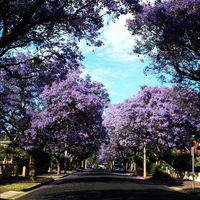 Book Wayville Accommodation Vacations Kempsey Accommodation Kempsey Accommodation
