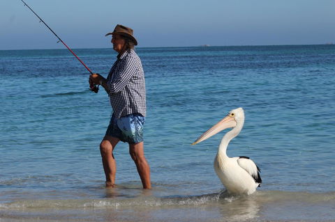 Ceduna Foreshore Caravan Park - Kempsey Accommodation 21