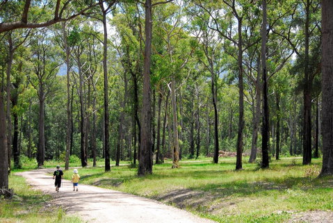 SkyView Villa - Kempsey Accommodation 28