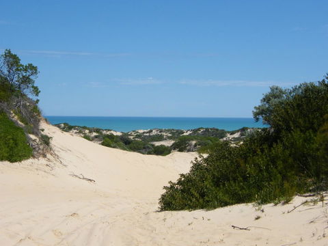 Coorong Waterfront Retreat - Kempsey Accommodation 23