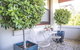 Mataro Cottage - thumb 2