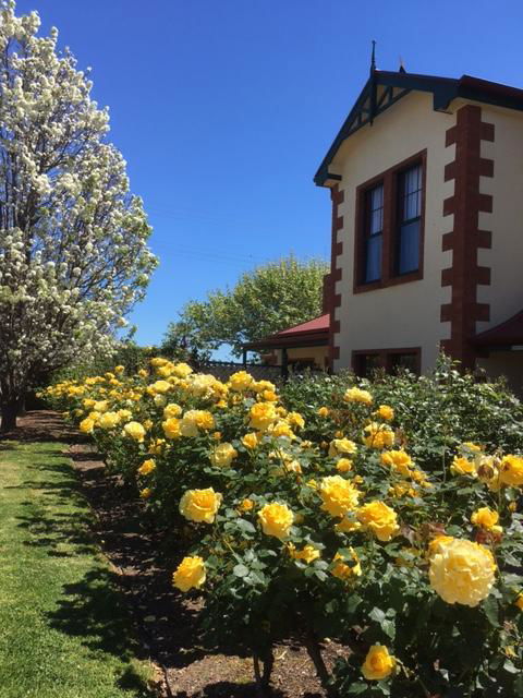 Wine And Roses Bed And Breakfast - Kempsey Accommodation 5