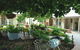Hahndorf Oak Tree Cottages - thumb 0